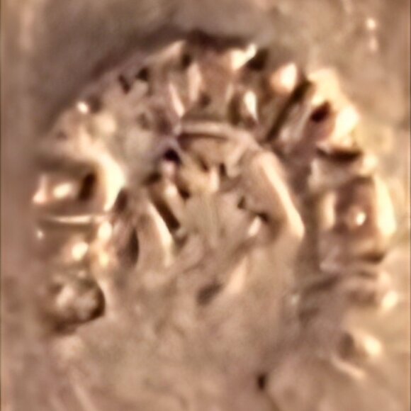 Vintage Metal Belt Buckle, Nice Silver and Abalone Design, Swan, Duck, Goose - Picture 5 of 5